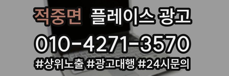 적중면 플레이스 광고