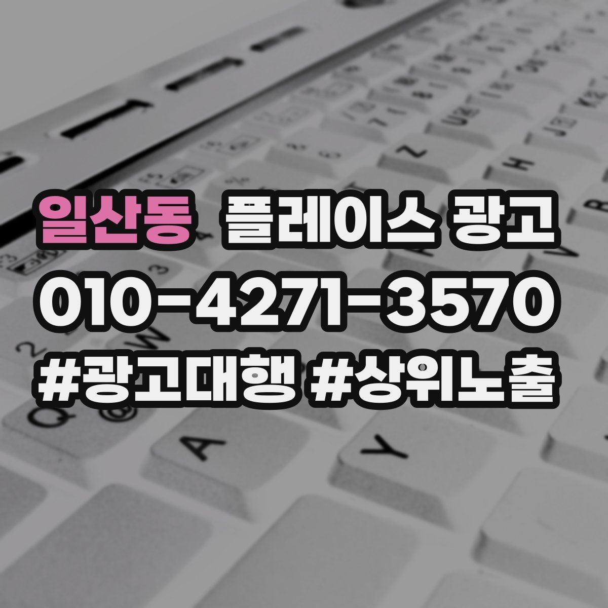 일산동 플레이스 광고 블로그 인스타 유입을 플레이스로 모으는 법