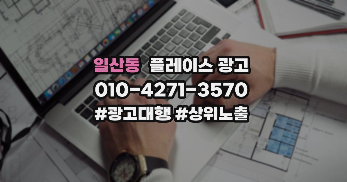 일산동 플레이스 광고