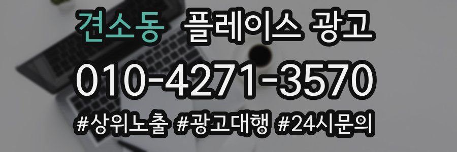 견소동 플레이스 광고