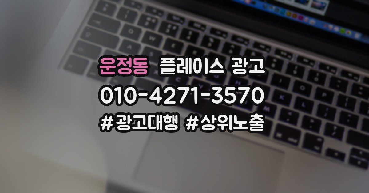 운정동 플레이스 광고