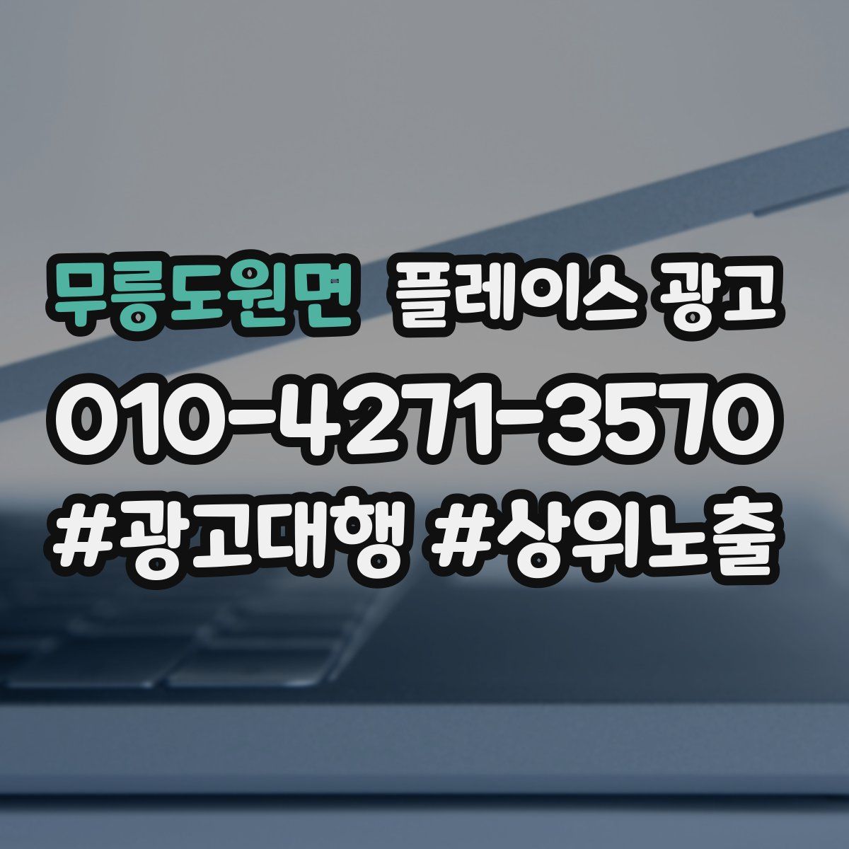 무릉도원면 플레이스 광고