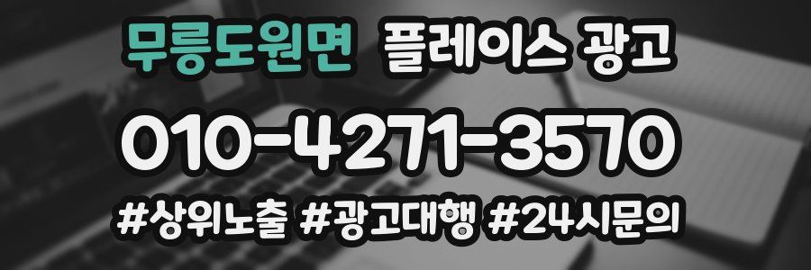 무릉도원면 플레이스 광고