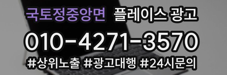 국토정중앙면 플레이스 광고