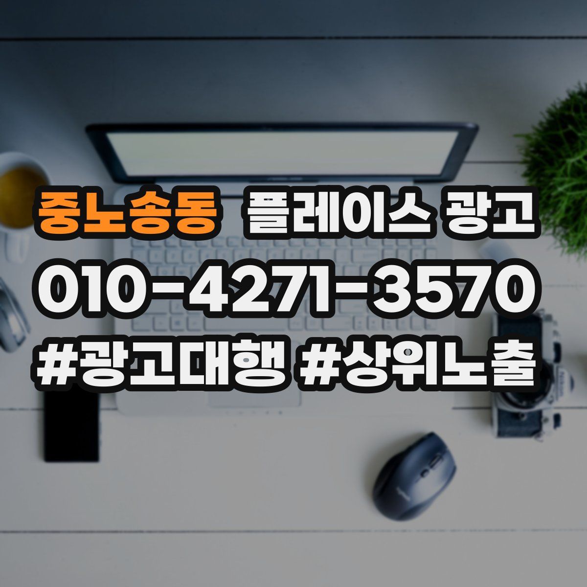 중노송동 플레이스 광고