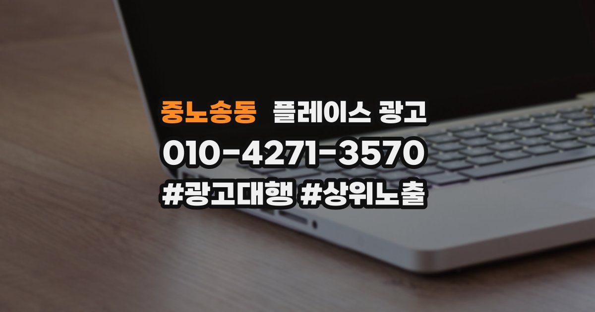 중노송동 플레이스 광고