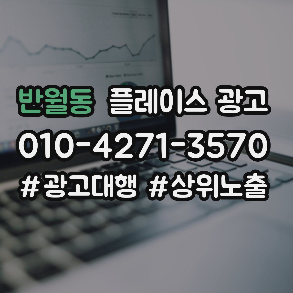 반월동 플레이스 광고