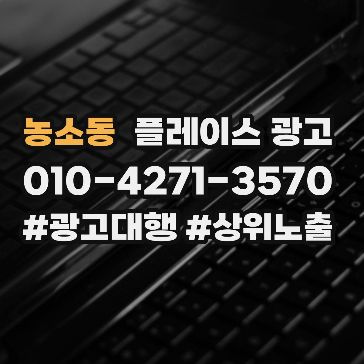 농소동 플레이스 광고