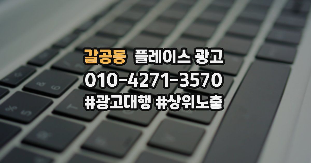 갈공동 플레이스 광고