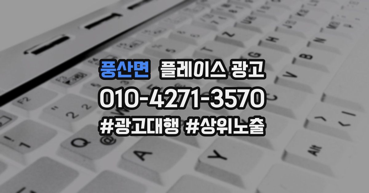 풍산면 플레이스 광고