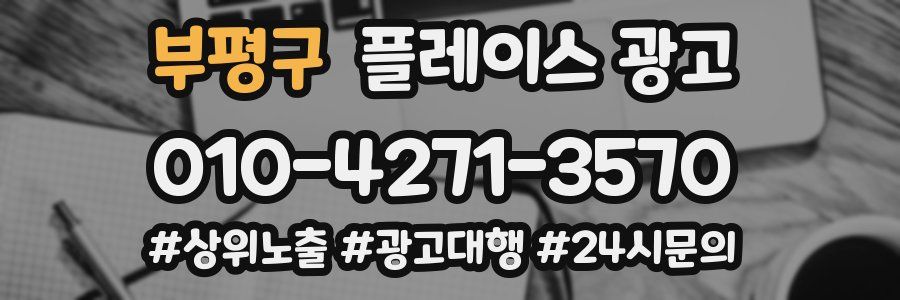 부평구 플레이스 광고