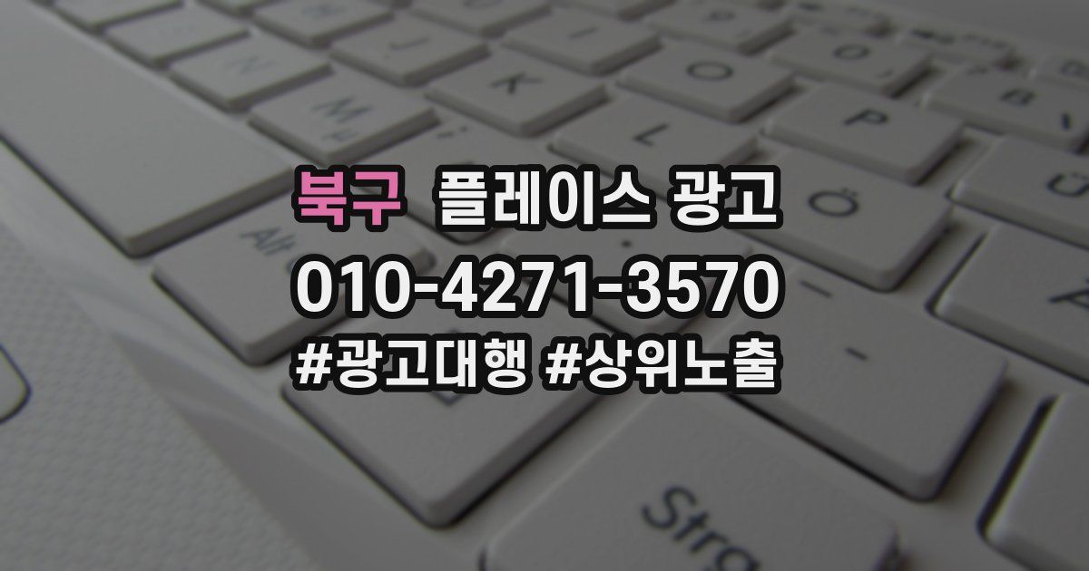 북구 플레이스 광고