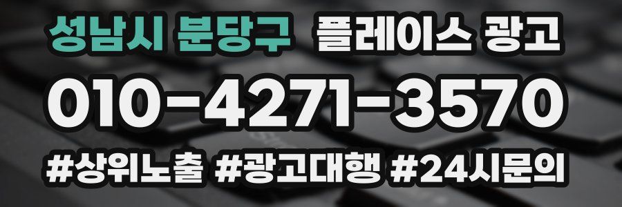 성남시 분당구 플레이스 광고