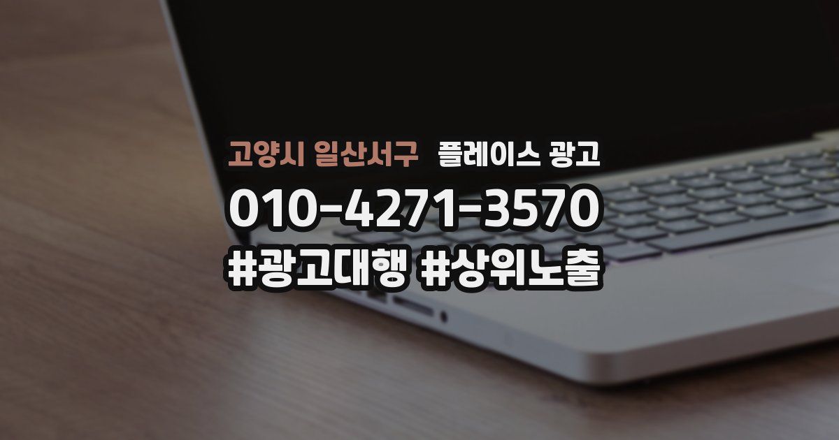 고양시 일산서구 플레이스 광고