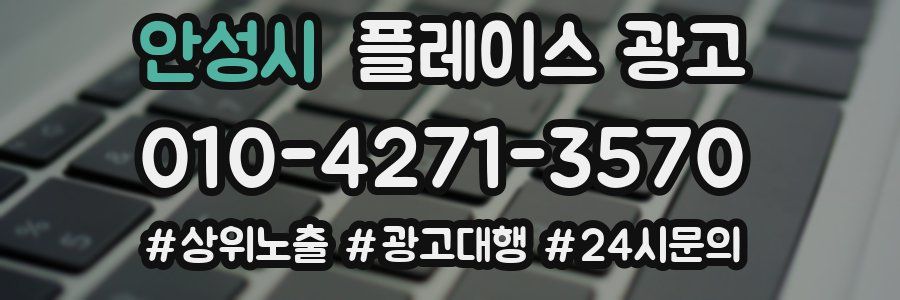 안성시 플레이스 광고