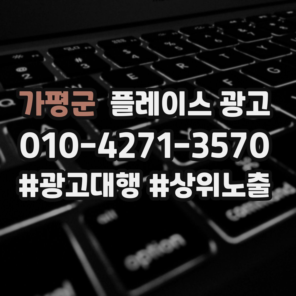 가평군 플레이스 광고