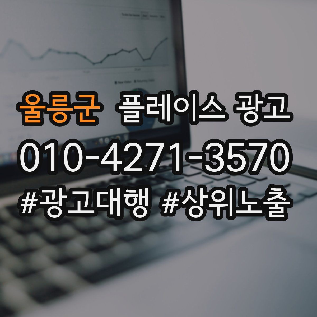 울릉군 플레이스 광고
