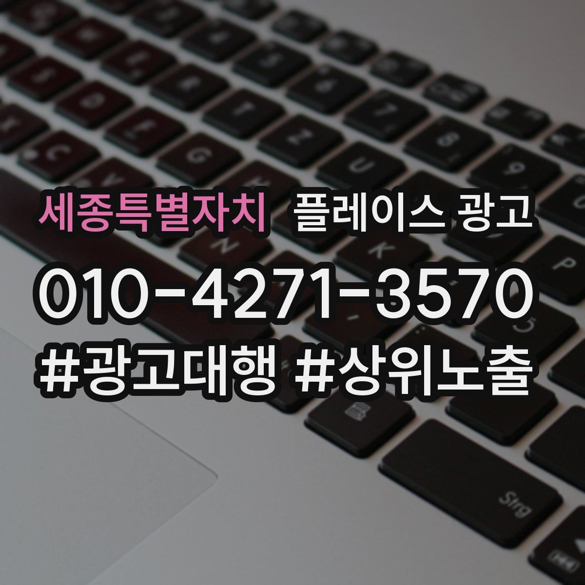 세종특별자치 플레이스 광고