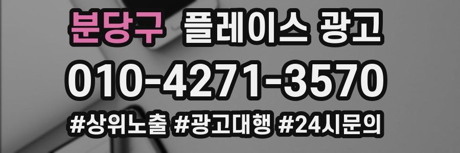 분당구 플레이스 광고