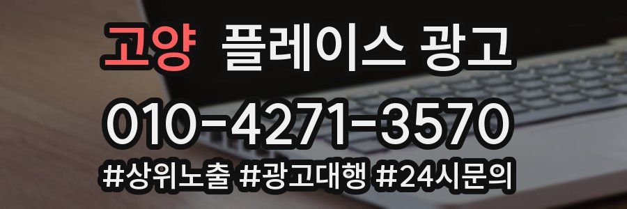 고양 플레이스 광고