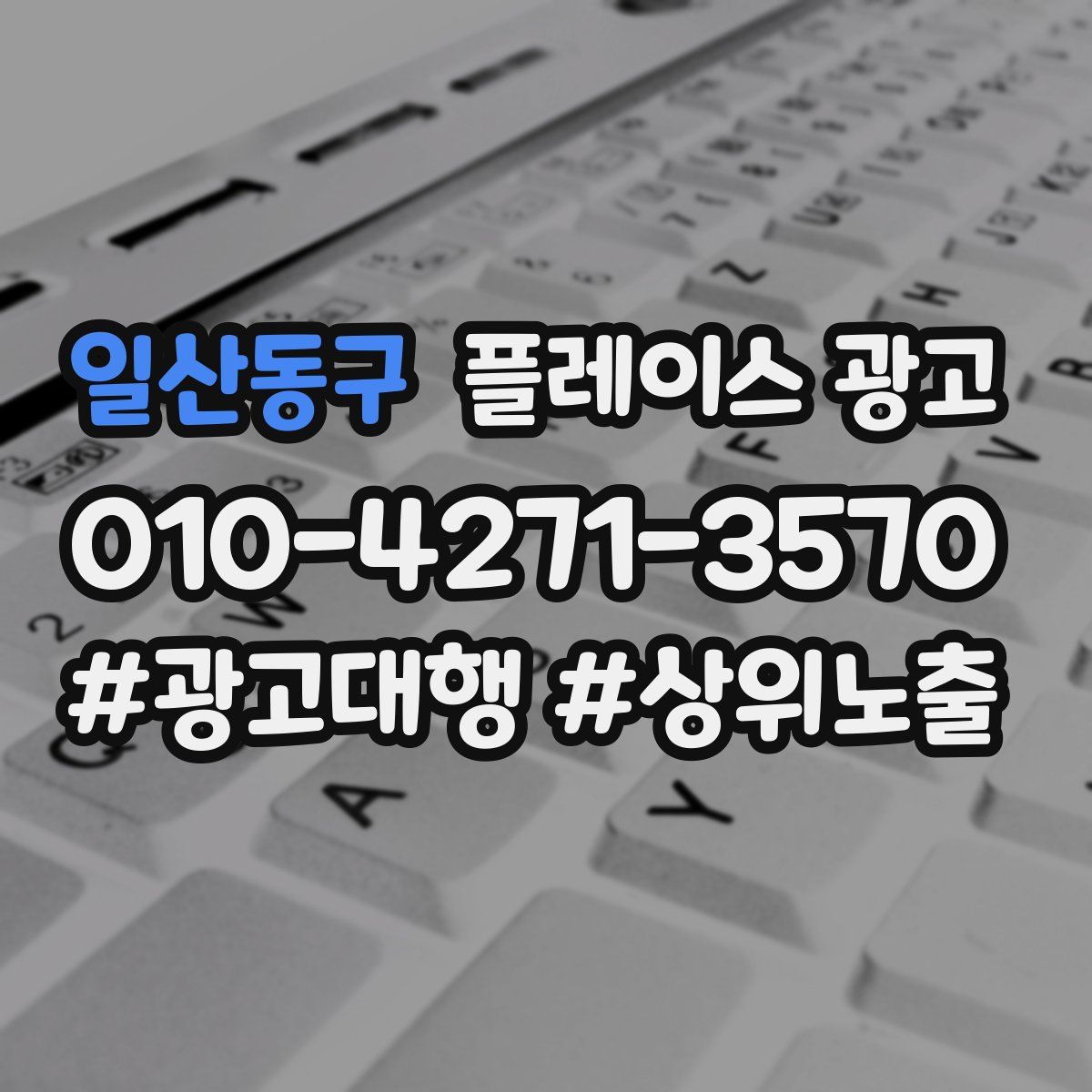 일산동구 플레이스 광고