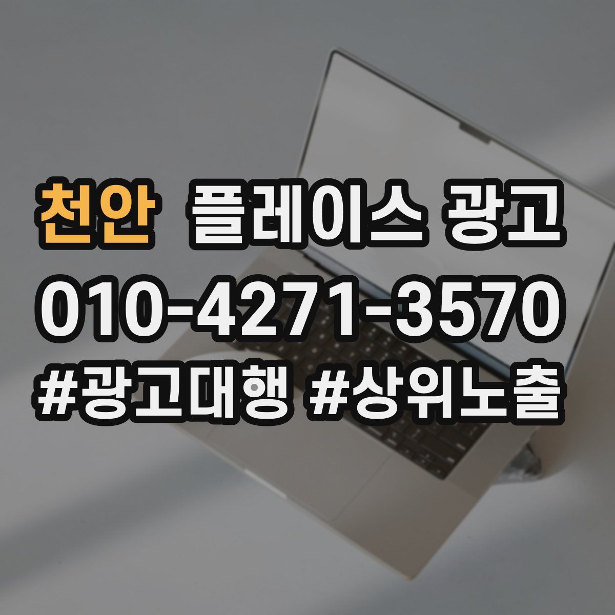 천안 플레이스 광고