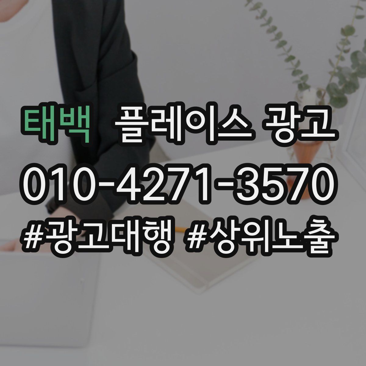 태백 플레이스 광고