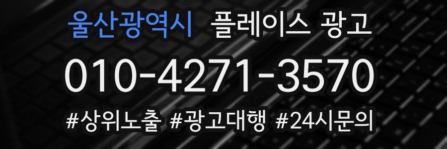 울산광역시 플레이스 광고