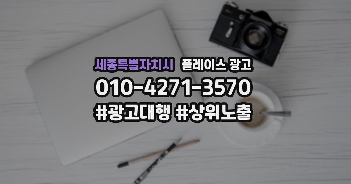 세종특별자치시 플레이스 광고