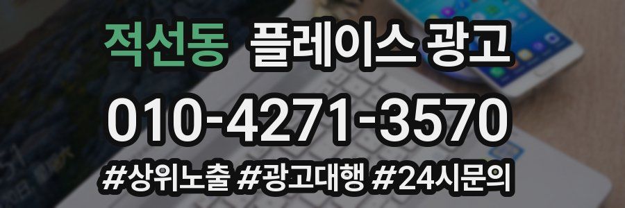 적선동 플레이스 광고