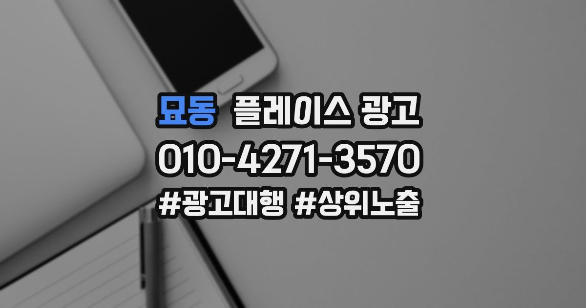 묘동 플레이스 광고