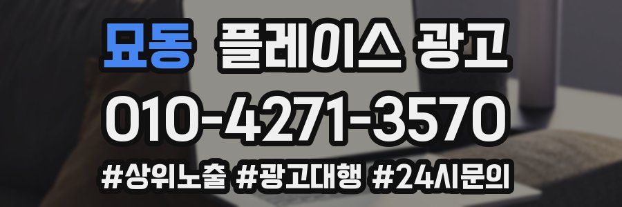 묘동 플레이스 광고