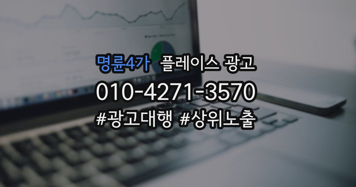 명륜4가 플레이스 광고