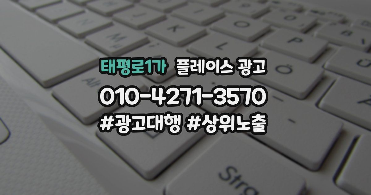 태평로1가 플레이스 광고