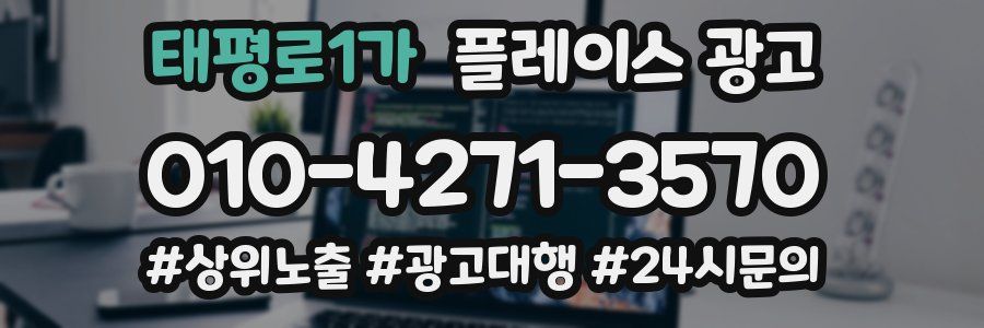 태평로1가 플레이스 광고