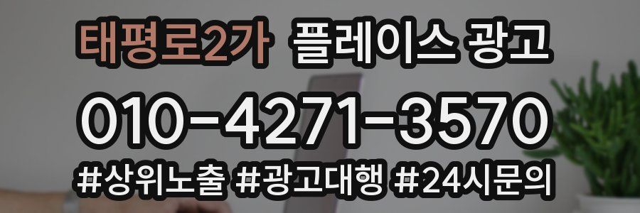 태평로2가 플레이스 광고