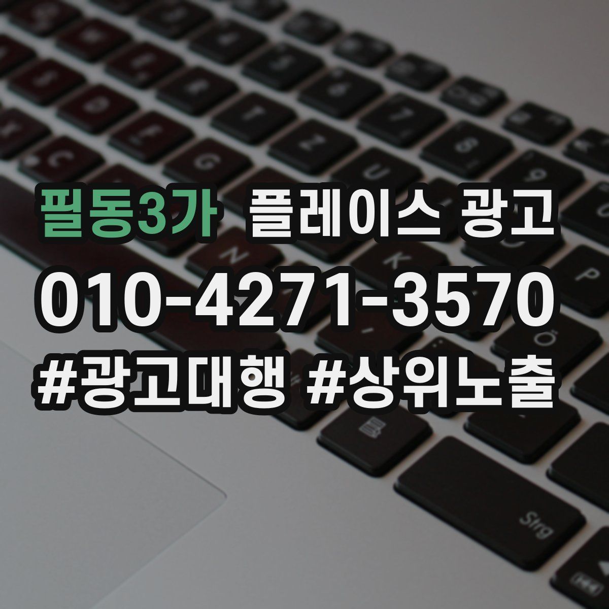 필동3가 플레이스 광고