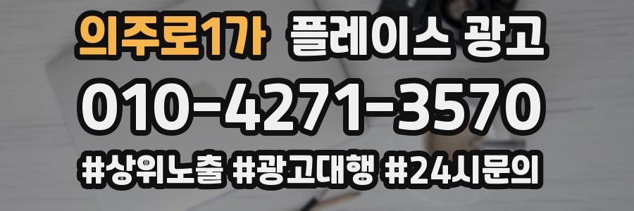 의주로1가 플레이스 광고