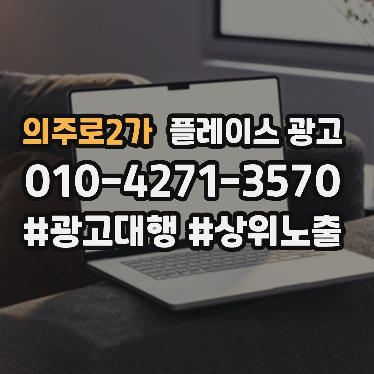 의주로2가 플레이스 광고