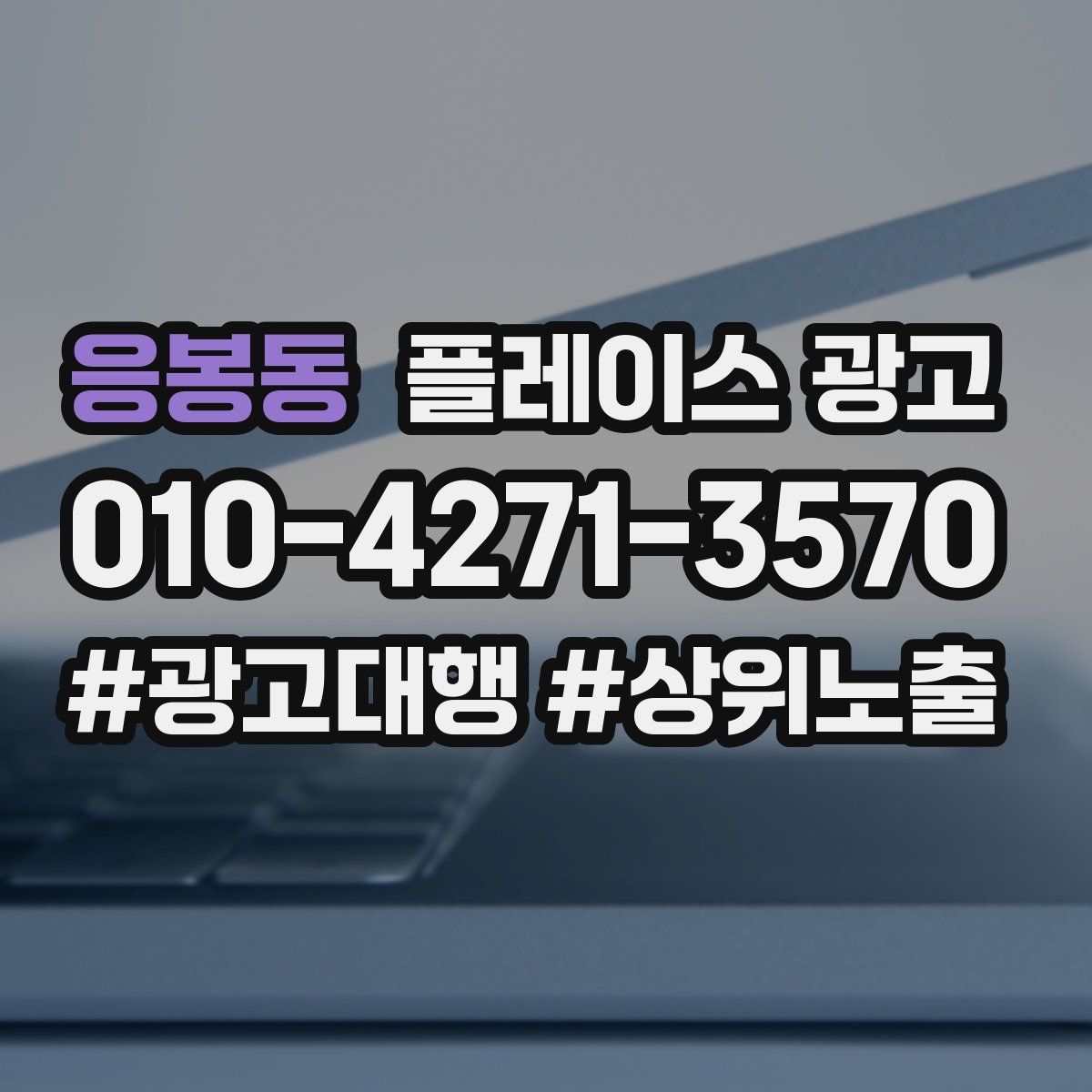 응봉동 플레이스 광고