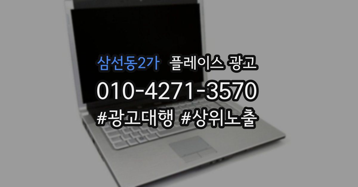 삼선동2가 플레이스 광고