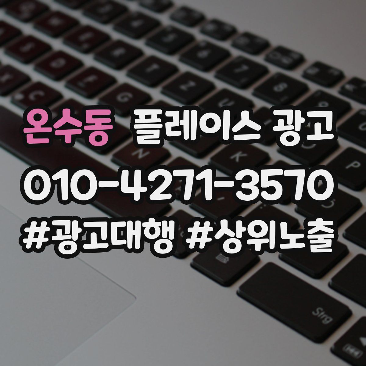 온수동 플레이스 광고