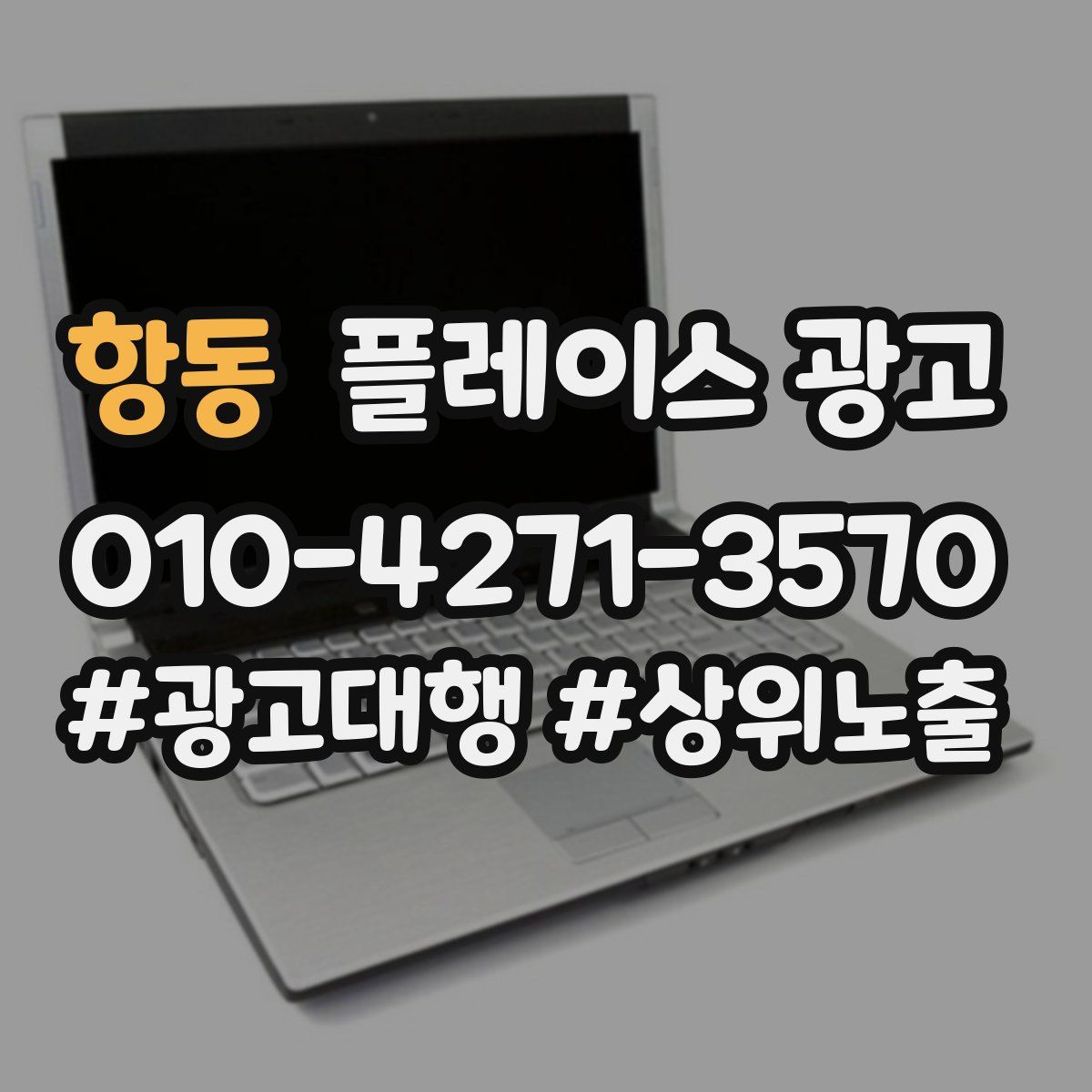 항동 플레이스 광고