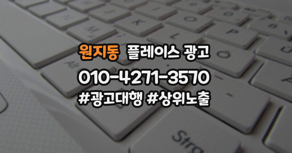 원지동 플레이스 광고