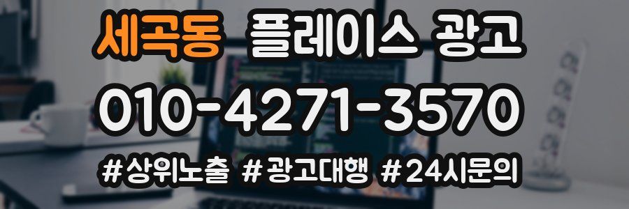 세곡동 플레이스 광고