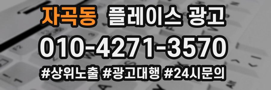 자곡동 플레이스 광고