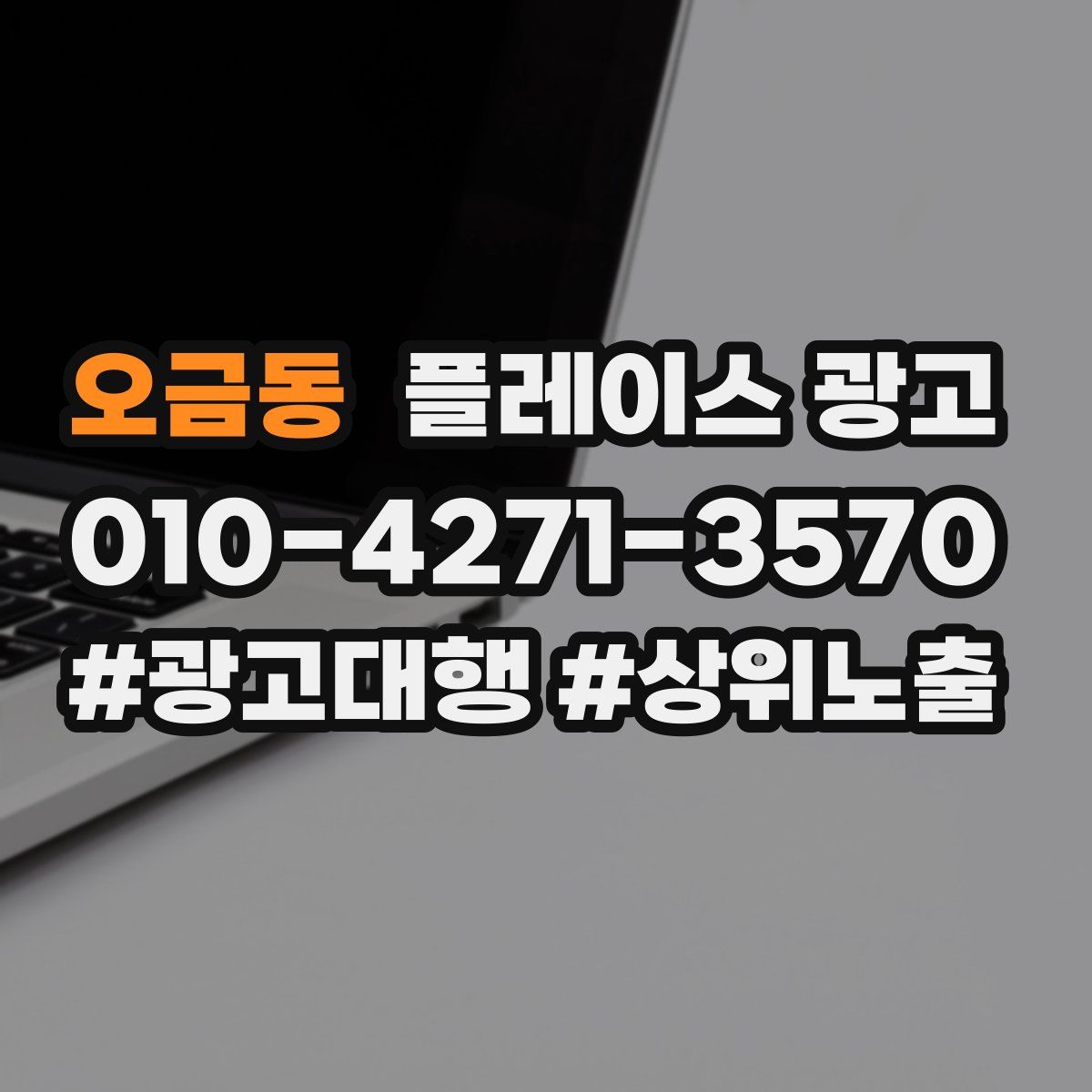 오금동 플레이스 광고