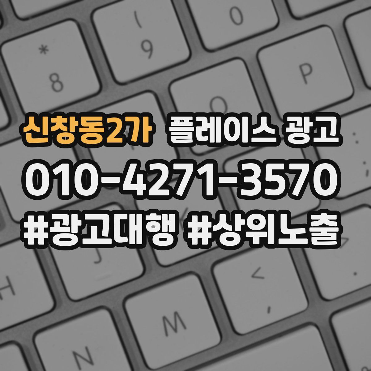 신창동2가 플레이스 광고