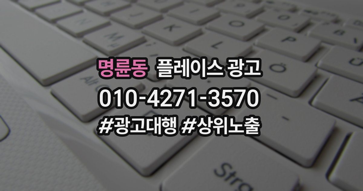 명륜동 플레이스 광고