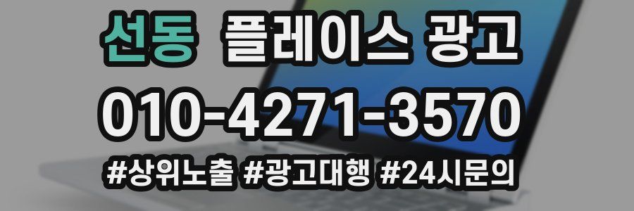 선동 플레이스 광고